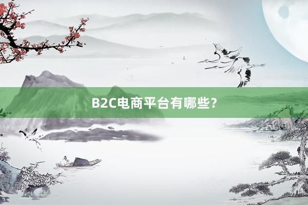 B2C电商平台有哪些？